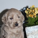 IMG_3437