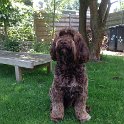 IMG-20160526-WA0007
