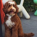 IMG-20170701-WA0003
